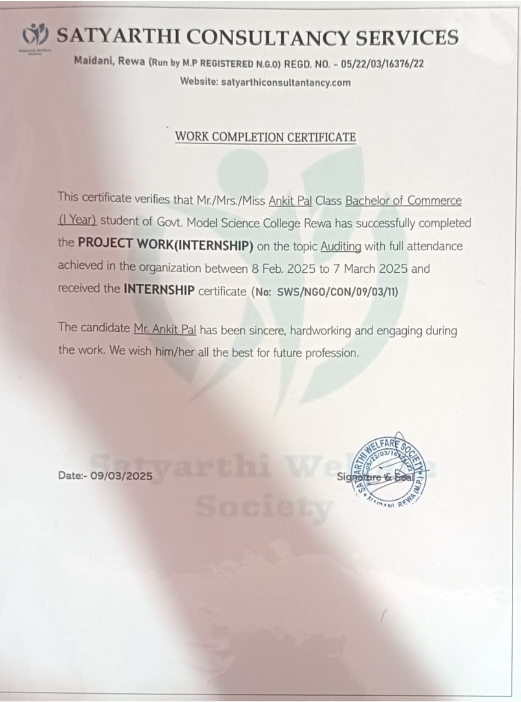 Satyarthi Welfare Society internship moment 2